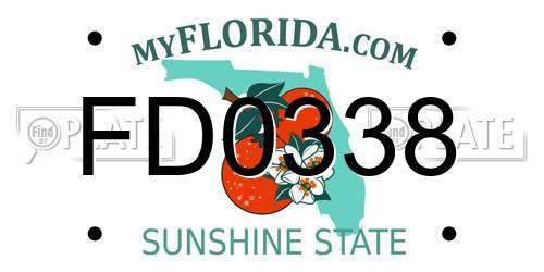 FD0338 Florida License Plate