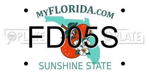 FD05S Florida License Plate