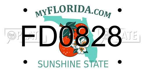 FD0828 Florida License Plate