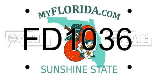 FD1036 Florida License Plate