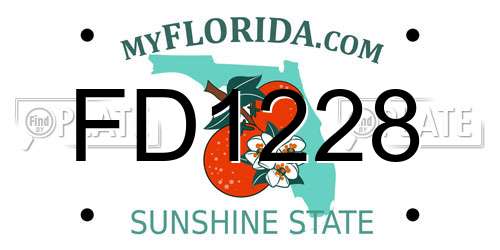 FD1228 Florida License Plate