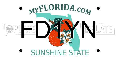 FD1YN Florida License Plate