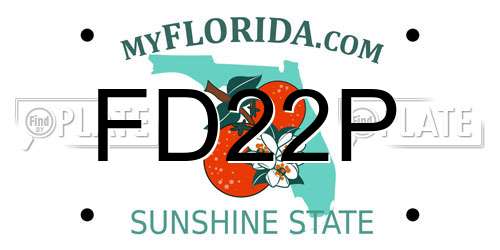 FD22P Florida License Plate
