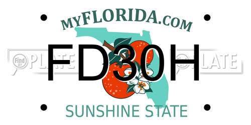 FD30H Florida License Plate