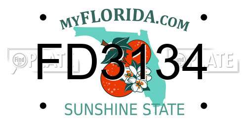 FD3134 Florida License Plate