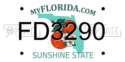 FD3290 Florida License Plate