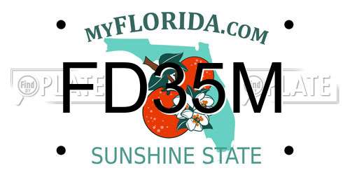 FD35M Florida License Plate