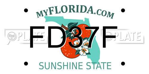 FD37F Florida License Plate