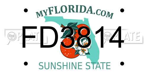 FD3814 Florida License Plate