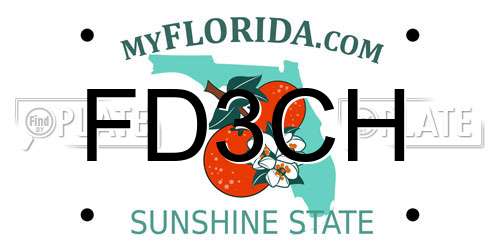 FD3CH Florida License Plate
