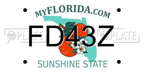 FD43Z Florida License Plate