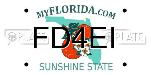FD4EI Florida License Plate
