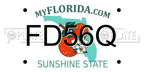 FD56Q Florida License Plate
