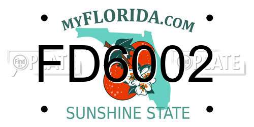 FD6002 Florida License Plate