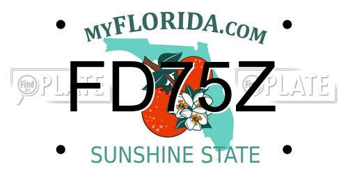 FD75Z Florida License Plate