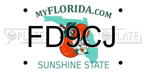 FD9CJ Florida License Plate