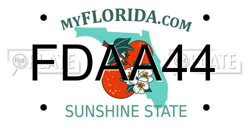 FDAA44 Florida License Plate