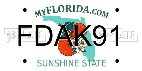 FDAK91 Florida License Plate