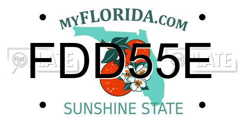 FDD55E Florida License Plate
