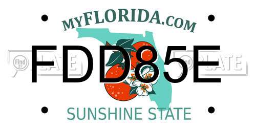 FDD85E Florida License Plate