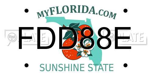 FDD88E Florida License Plate