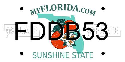 FDDB53 Florida License Plate