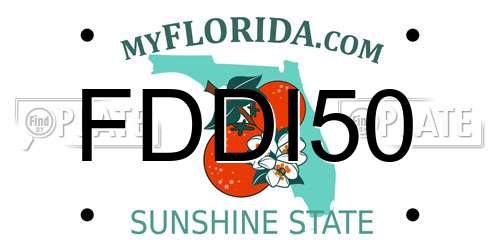 FDDI50 Florida License Plate