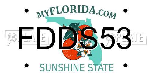 FDDS53 Florida License Plate