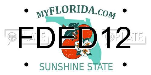 FDED12 Florida License Plate