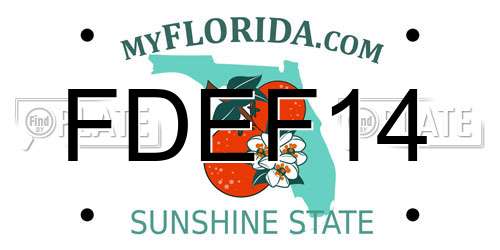 FDEF14 Florida License Plate