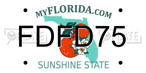 FDFD75 Florida License Plate