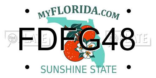 FDFG48 Florida License Plate