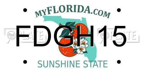 FDGH15 Florida License Plate