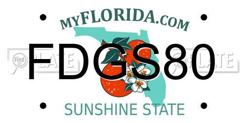 FDGS80 Florida License Plate