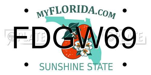 FDGW69 Florida License Plate