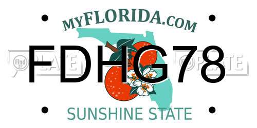 FDHG78 Florida License Plate