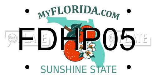 FDHP05 Florida License Plate