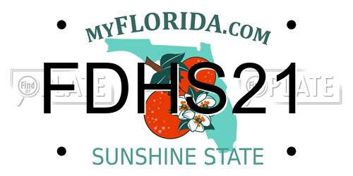 FDHS21 Florida License Plate