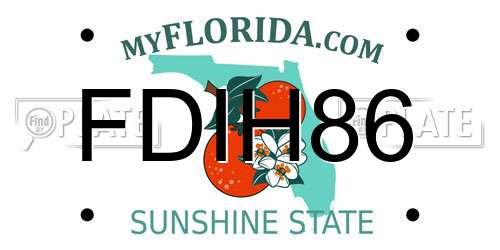 FDIH86 Florida License Plate