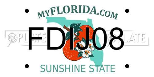 FDIJ08 Florida License Plate