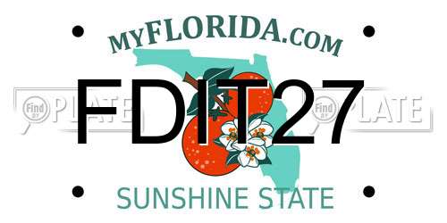 FDIT27 Florida License Plate