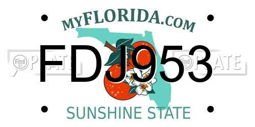 FDJ953 Florida License Plate