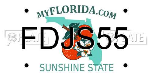 FDJS55 Florida License Plate
