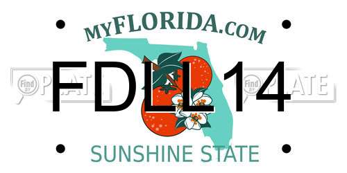 FDLL14 Florida License Plate