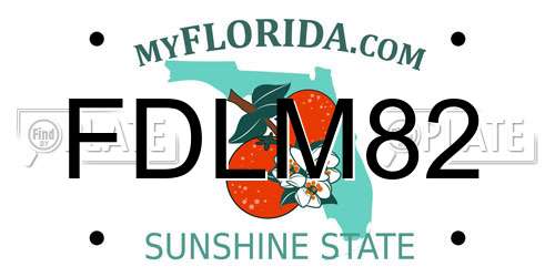 FDLM82 Florida License Plate