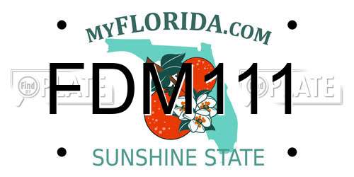 FDM111 Florida License Plate
