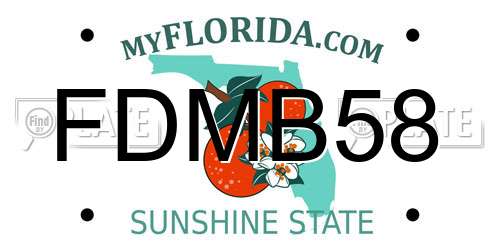FDMB58 Florida License Plate