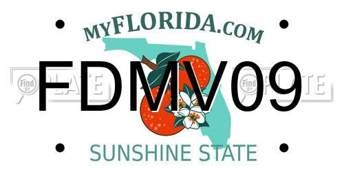 FDMV09 Florida License Plate