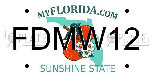 FDMW12 Florida License Plate