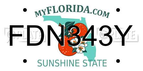 FDN343Y Florida License Plate
